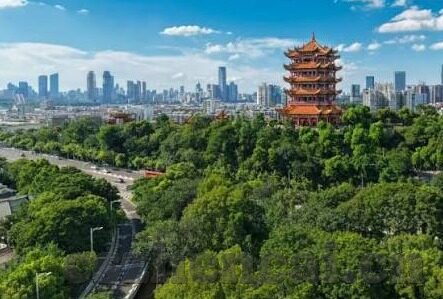 国产91麻豆果冻精品-建议为国产91麻豆果冻精品，洞察国产内容创新的多样视角